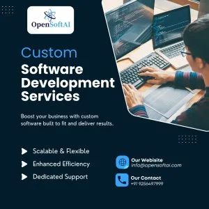 Custom Software development services 