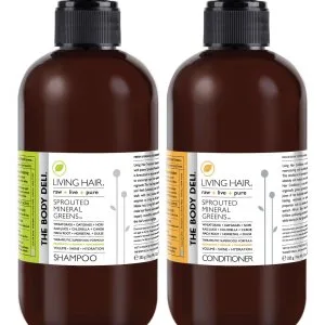 Sulfate-free care: premium organic shampoo and conditioner for h