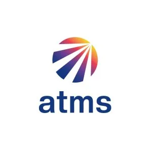 Professional ca & tax services for businesses | atms advisors
