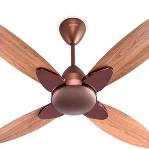Top premium quality designer fan