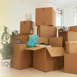 Top packers and movers in ambala – secure relocation services