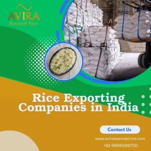 Rice exporting companies in india