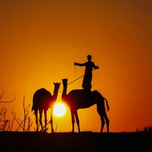 Book your overnight desert safari dubai with exclusive deals
