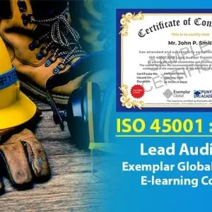 Iso 45001 lead auditor training by punyam academy: master ohs au