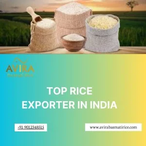 Top rice exporter in india | bansal overseas