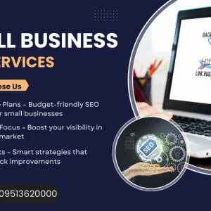 Affordable small business seo services for local growth