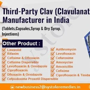 Clav manufacturer in india
