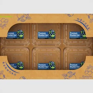 Fresh fruit carton box – made in china, global shipping, customi