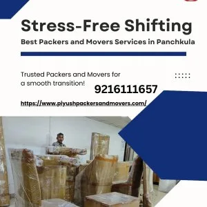 Stress-free shifting: best packers and movers services panchkula