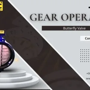 Bfv 1103, gear operated butterfly valve manufacturer ahmedabad, 