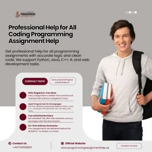Professional help for all coding programming assignment help