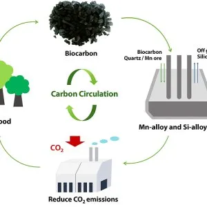 Biocarbon processing & production plant - kerone