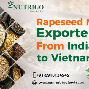Leading rapeseed meal exporters from india for quality feeds