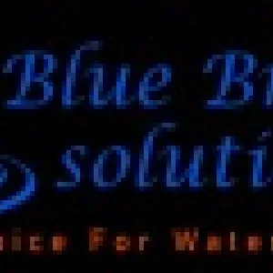 Blue bright solutions