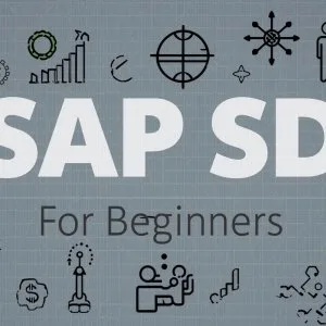 Best sap sd online training course for sales & distribution proc