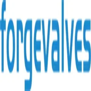 China forged valves co, ltd