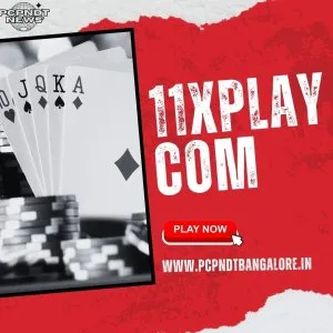 11xplay com