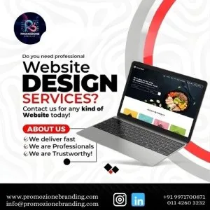 011-42603232 web development services in delhi