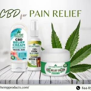 Cbd cream for pain relief – fast, natural comfort