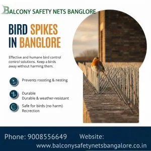 Birds spikes in bangalore