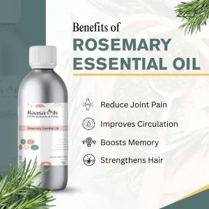 Rosemary essential oil – boost focus & hair growth