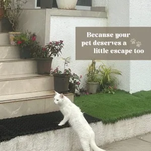 Pet-friendly 4 bhk villa with pool & scenic views | ekayan villa