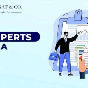 Experienced gst experts in india