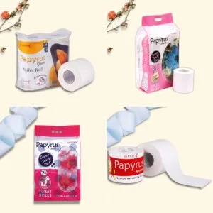 Premium toilet paper rolls for homes & hotels | bulk supplier