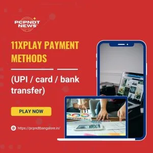 11xplay payment methods (upi / card / bank transfer) 1