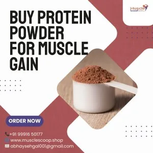 Premium whey – buy protein powder for muscle gain online