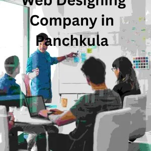 Professional web designing company in panchkula
