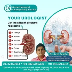 Who is considered the best urosurgeon in yamunanagar?