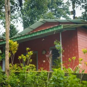 Best cottages in coorg amid coffee plantations