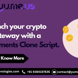 Launch your own crypto payment gateway fast