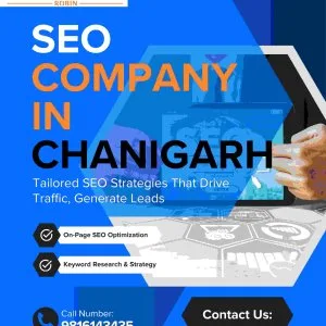 Trusted seo company in chandigarh for business growth