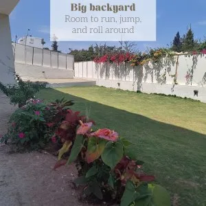 A big backyard where your children can play freely