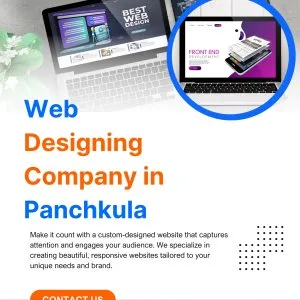 Best web designing company in panchkula for creative websites
