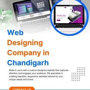 Professional web designing company in chandigarh for modern webs