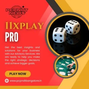 11xplay pro