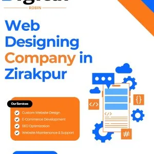 Professional web designing company in zirakpur 