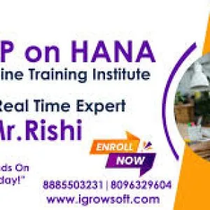 Sap s4 hana training in ameerpet | igrowsoft