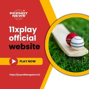 11xplay official website 2