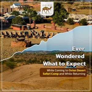 Osian sand dunes safari – sunset, camel ride & folk performances
