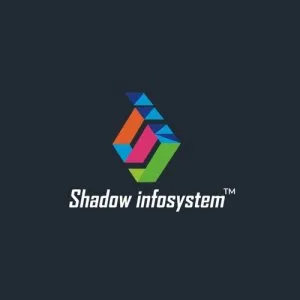 Custom software development