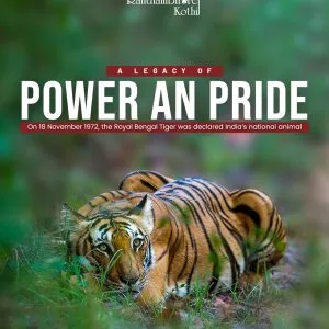 Wildlife resort ranthambore