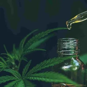 Cbd oil india awareness on lawful use and compliance