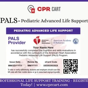 Same-day aha pals certification – online learning + skills test