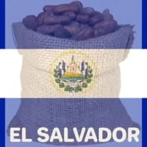 Organic cocoa beans
