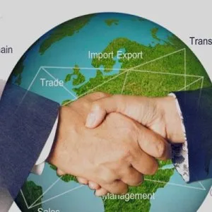 Export import consultants for global trade exim advisory