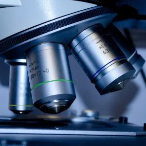Discover your gut health with a gut microbiome test